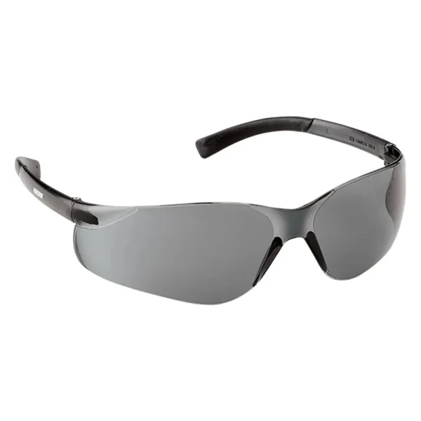ECHO Tech Glasses