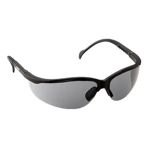 ECHO Traveler Glasses