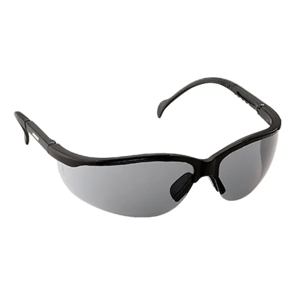ECHO Traveler Glasses