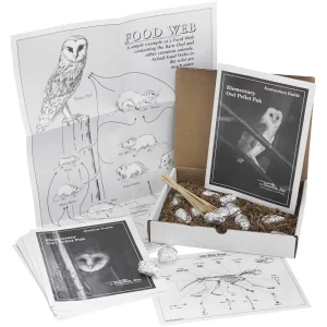 Owl Pellet Study Kit
