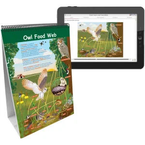 NewPath Learning Owl and Owl Pellets Flip Chart Set - view 2