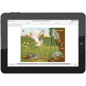 NewPath Learning Owl and Owl Pellets Flip Chart Set - view 3
