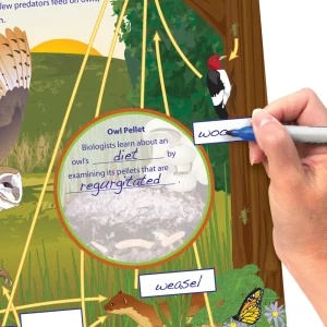 NewPath Learning Owl and Owl Pellets Flip Chart Set - view 4