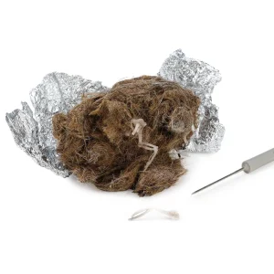 Eisco Simulated Owl Pellets
