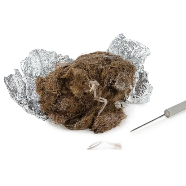 Eisco Simulated Owl Pellets