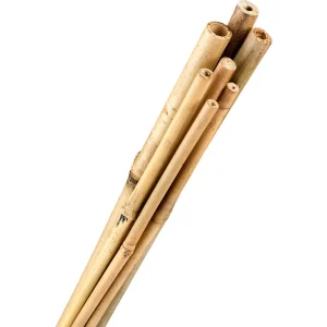 Bamboo Stakes