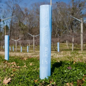 Blue-X® Tree Shelters