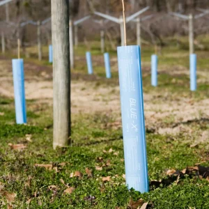 Blue-X® Tree Shelters - view 2