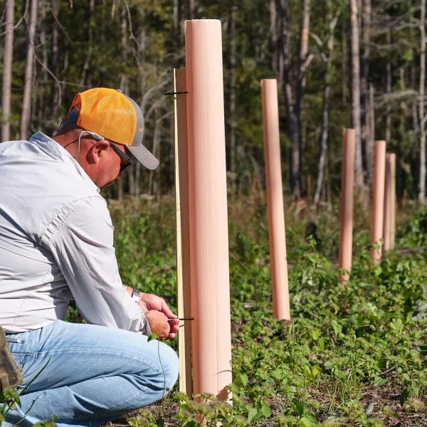 Tubex® Nature™ Biodegradable Tree Shelters