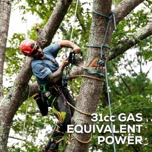 Greenworks 48V 12″ Top Handle Chainsaw Kit - view 2