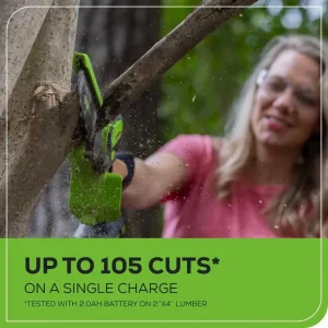 Greenworks 24V 2Ah Pruner Mini Saw Kit - view 4