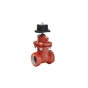 10RS Threaded Cast Iron Gate Valve