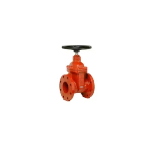 200WD Ductile Iron Flanged Gate Valve AWWA