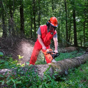 Delta Plus ProChaps™ 94 Series Chain Saw Chaps - view 2