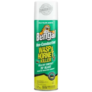Bengal® Wasp & Hornet Killer