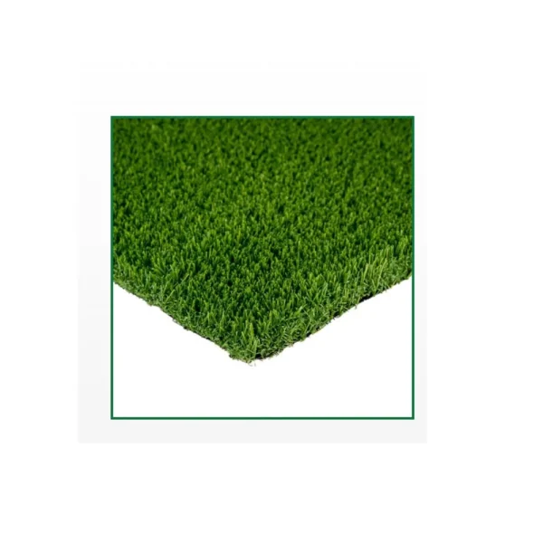 FESCUE REC XQ