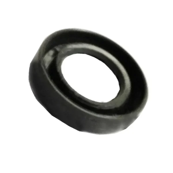 Imer Oil Seal for Workman Mixers