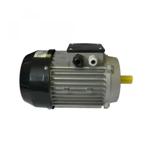 Imer Motor for Mortarman 120 Plus Mixer