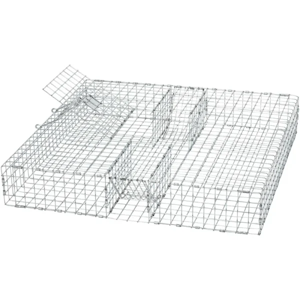 Tomahawk Double-Door Multiple Catch Trap