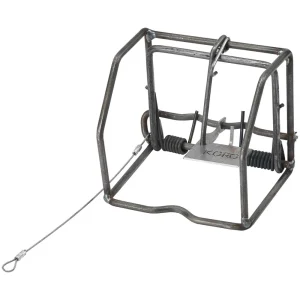 Koro Large Rodent with Double Spring