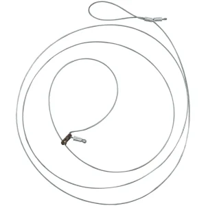 Wild Hog Snares