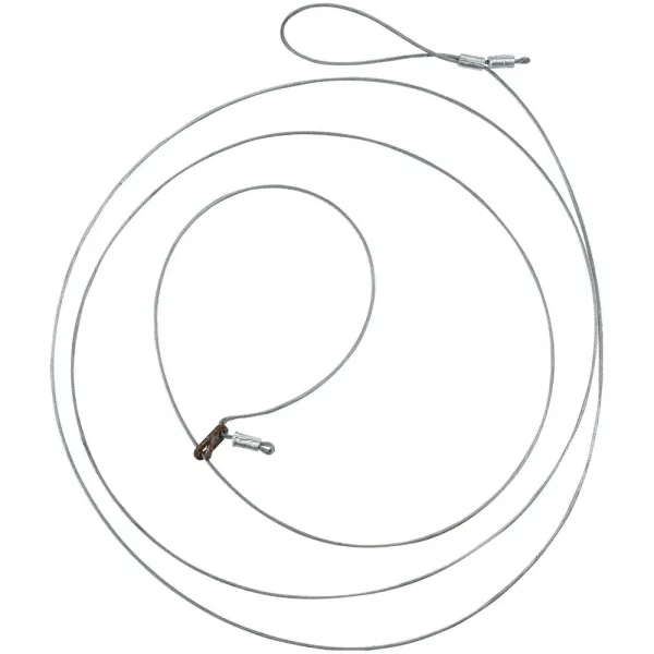 Wild Hog Snares