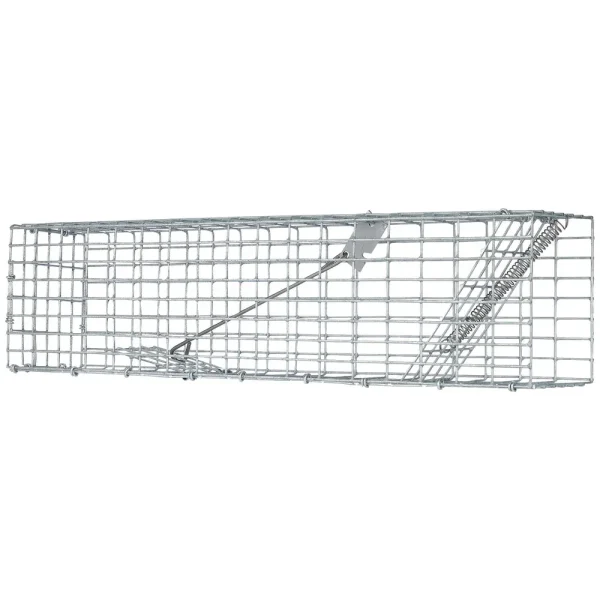 Simple Squirrel Traps