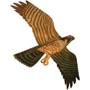 Jackite Predator Bird Kites - view 2