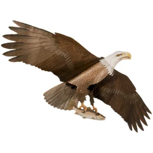 Jackite Predator Bird Kites - view 3