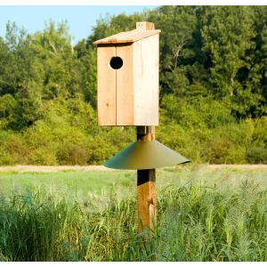 Cypress Wood Duck Nesting Box