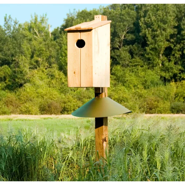Cypress Wood Duck Nesting Box