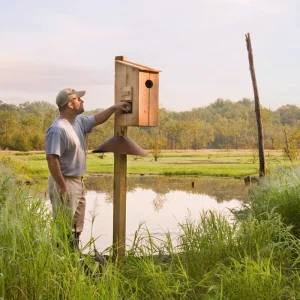 Cypress Wood Duck Nesting Box - view 2