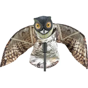 Prowler Owl
