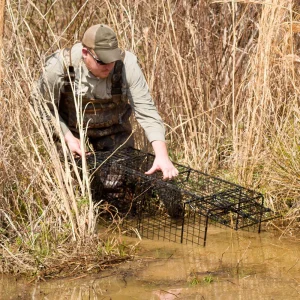 Comstock Double Door Wildlife Traps - view 3