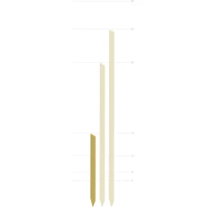 Wood Lathe Stakes