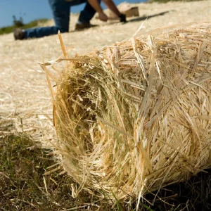 Single Net Straw Erosion Control Blanket - view 2