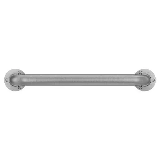 Moen Stainless Exposed Screw Grab Bar, 24 in