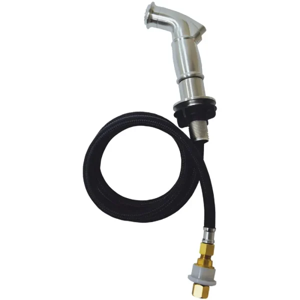 Danco Chrome Decorative Side-Spray and Hose
