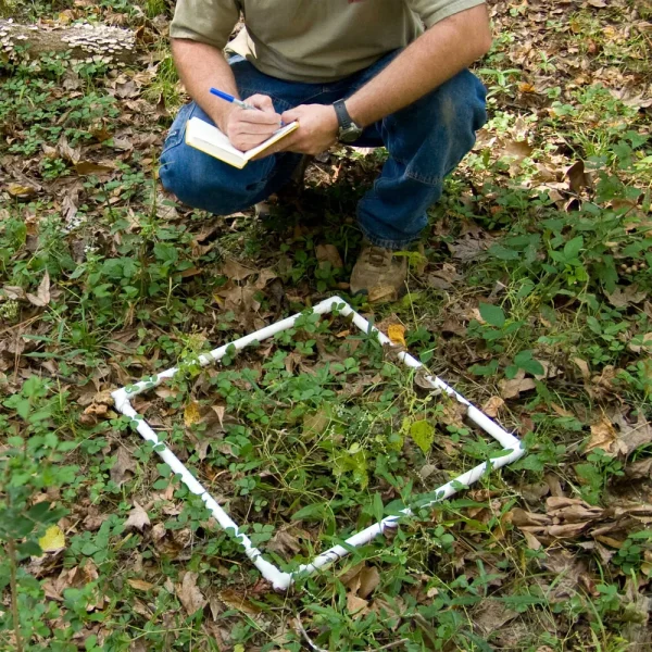 Collapsible Sampling Squares