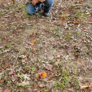 Forestry Suppliers Archaeological String-A-Pit - view 4