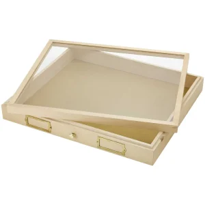 California Academy of Science Insect Cabinet Drawer