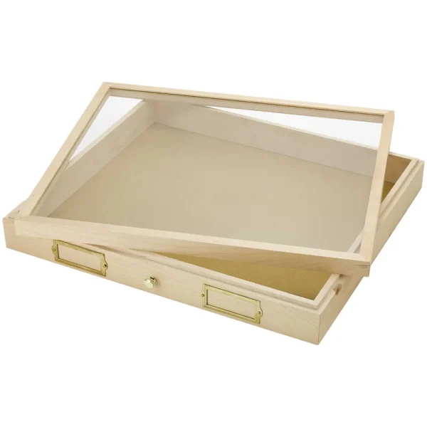 California Academy of Science Insect Cabinet Drawer