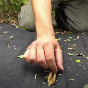 Insect Ground Sampling Cloth - view 3