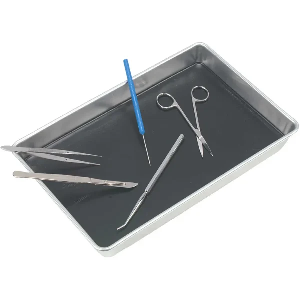 Dissecting Pans