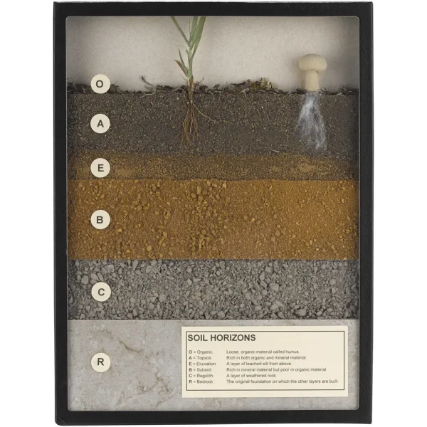 Soil Horizons Riker Mount