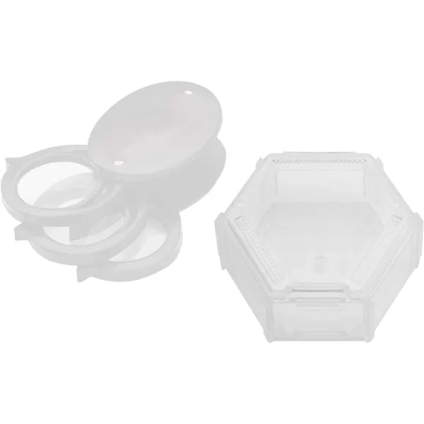 BugDorm Hive-Shaped Insect Caddy