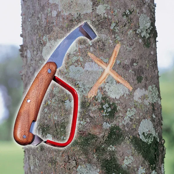 Timber/Tree Scribe