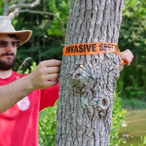 INVASIVE SPECIES Vinyl Roll Flagging - view 2