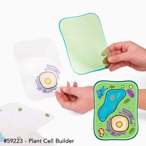 Roylco® Cell Builder Transparencies - view 3