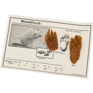 Forestry Suppliers Replitracks™ - view 3